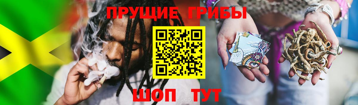 Галлюциногенные грибы ЛСД  Вход с VPN  Корсаков  Галлюциногенные грибы MAGIC MUSHROOMS 